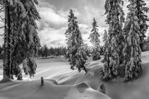 Winter im Harz von Andreas Levi