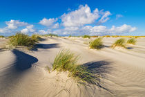 Landschaft in den Dünen auf der Insel Amrum by Rico Ködder