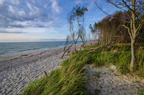 Weststrand Ahrenshoop by Steffen Gierok