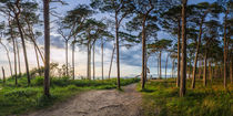 Weststrand Ahrenshoop by Steffen Gierok