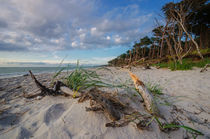 Weststrand Ahrenshoop by Steffen Gierok