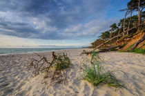 Weststrand Ahrenshoop by Steffen Gierok