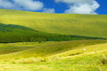 Im Brecon Beacons National Park von gscheffbuch