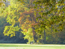 Herbst im Park-2 von maja-310