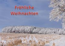 Weihnachtspostkarte Winterwald am Feldrand 2 von kattobello