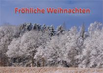 Weihnachtspostkarte Winterwald am Feldrand 1 von kattobello