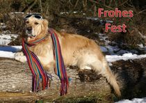 Weihnachtspostkarte Golden Retriever im Wald  von kattobello