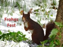 Weihnachtspostkarte Eichhörnchen im Schnee 1 von kattobello