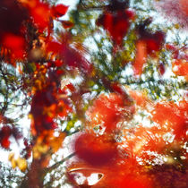 herbstwind von micha gruenberg