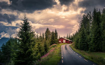 The red cabin von Nuno Borges