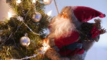 Christmas Santa on a tree von Tomas Gregor