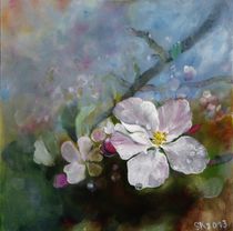 Appleblossom by Stephanie Koehl