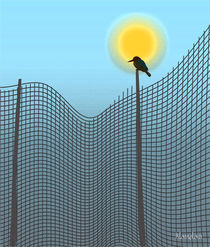 Bird on mesh von Nandan Nagwekar
