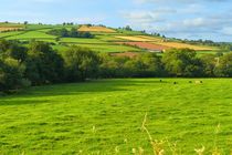 Waliser Idyll im Brecon Beacons National Park von gscheffbuch