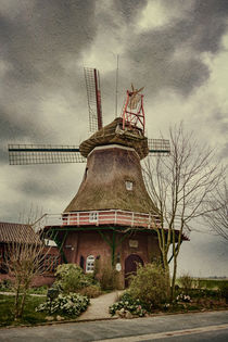 Stumpenser Mühle im Wangerland  von Nicole Frischlich