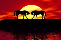 two horses before sunset by kunstmarketing
