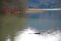 Kochelsee... 2 by loewenherz-artwork