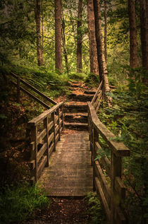 Woodland Bridge At Thirlmere by Ian Lewis