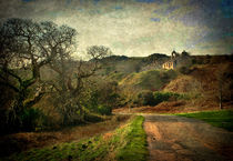  An Anglesey Lane by Ian Lewis