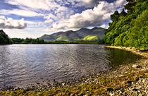  From Friars Crag Derwentwater von Ian Lewis