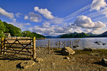  Derwentwater Shoreline by Ian Lewis