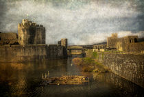Inner Moat At Caerphilly Castle by Ian Lewis