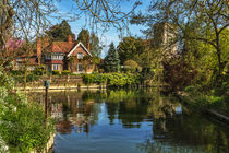 Backwater Goring on Thames by Ian Lewis