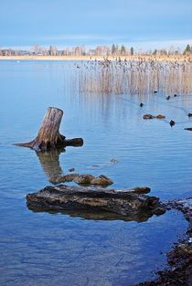 Kochelsee... 4 von loewenherz-artwork