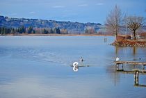 Kochelsee... 12 von loewenherz-artwork