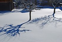 Oberammergau im Winter... by loewenherz-artwork