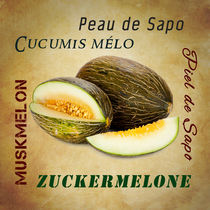 Die Zuckermelone - The sugar melon by Thomas Klee