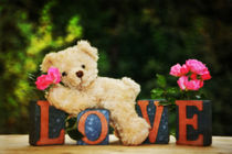 Love Teddy by Claudia Evans
