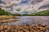 Thirlmere Looking North von Ian Lewis