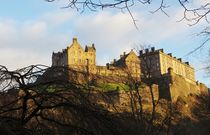 The castle on the hill von Stephanie Koehl