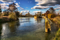 Approaching Day's Lock On The Thames by Ian Lewis