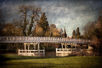 Whitchurch on Thames Toll Bridge von Ian Lewis