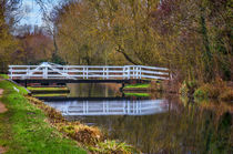 The Swing Bridge At Sulhamstead von Ian Lewis