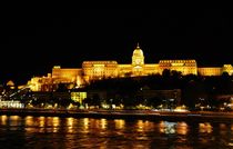 Budapest castle  by Anna Zamorska