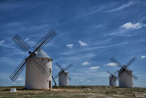 Windmühlen La Mancha von Iris Heuer