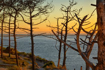 Sonnenuntergang Banc d’Arguin von Iris Heuer