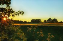 Sonnenuntergang im Wittmoor von Iris Heuer