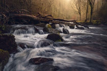 Fingle Cascades von Chris Frost