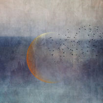 The Golden Moon and the Birds by Priska  Wettstein