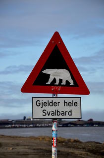 Gjelder hele Svalbard von Iris Heuer