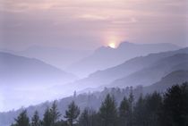 Lake District National Park. Langdale winter von David Lyons