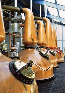 Laphroaig whisky distillery. The copper pot stills von David Lyons
