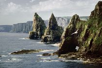 Sea stacks of Duncansby Head, northern Scotland by David Lyons