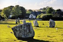 Prehistoric Stone Circles, Avebury von David Lyons