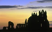 Gothic Ruins. Whitby, Yorkshire by David Lyons