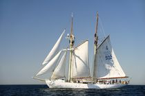 Swedish training schooner Falken. Baltic Sea #1 by David Lyons